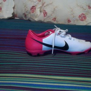 Meet your Posher, Pablo